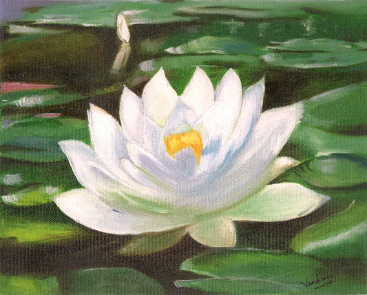 Serenity of Water Lilies